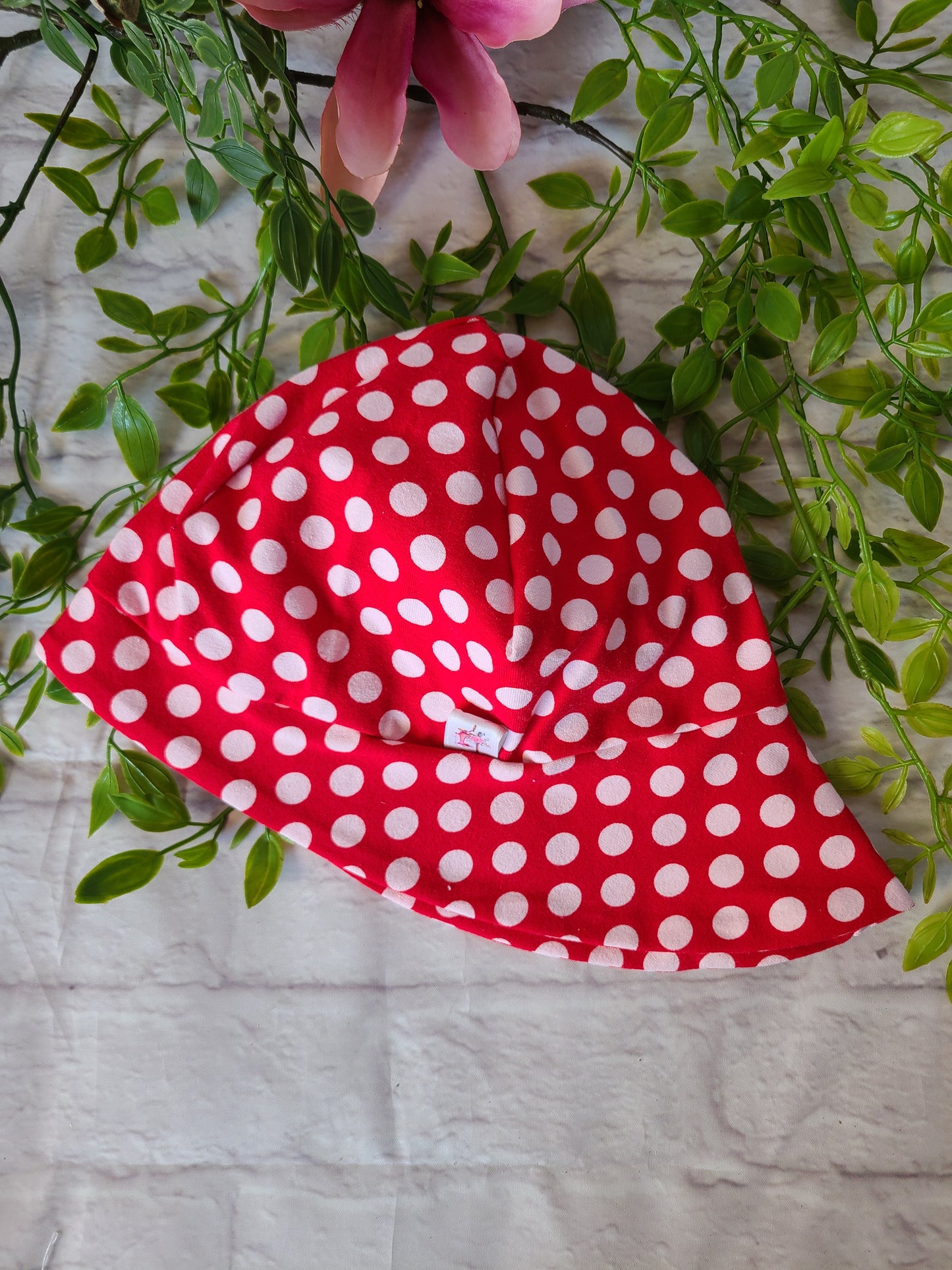 Jersey-Sonnenhut Punkte