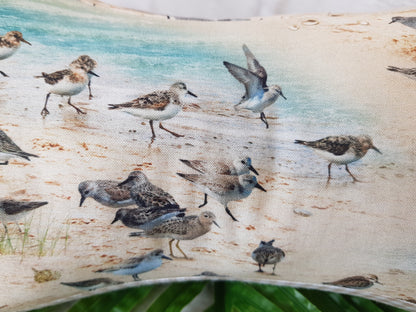 Leseknochen Vögel, Strandläufer