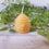 Bienenwachskerze Bienenkorb